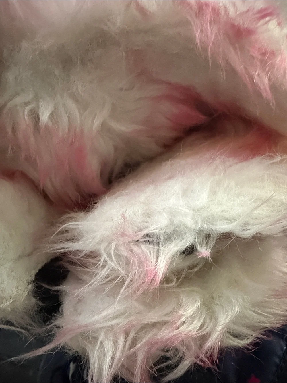 Kids Navy and Pink Winter Snow Boots with Faux Fur